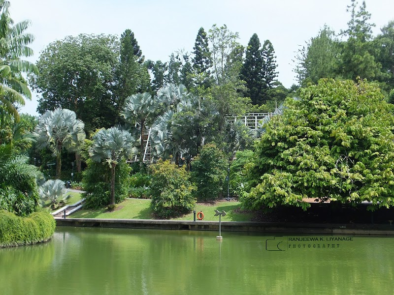 biggest lake in spore